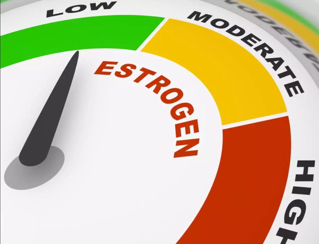 What happens when estrogen levels are low?