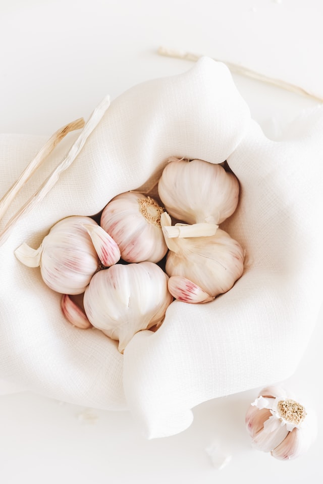 Garlic reduces antibiotics in the body