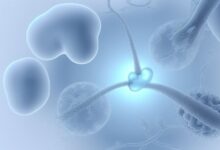 Ivf success rates for male factor infertility: what to expect