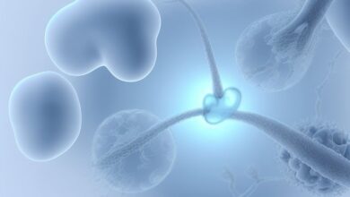 Ivf success rates for male factor infertility: what to expect